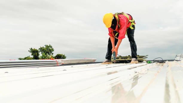 Best Storm Damage Roof Repair  in Starke, FL