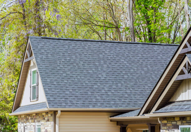 Best Chimney Flashing Repair  in Starke, FL